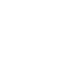 Icon Education