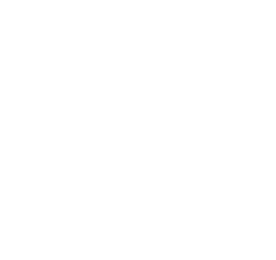 Icon Science