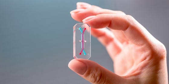Organonchip Organonchip