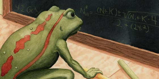 Blackboard Frog Cropped