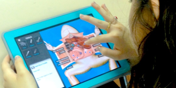 Ipad Cropped