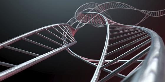 Spiral Genetics Strands An abstract strand of a thread of interconnected steel cube bars forming a curled DNA type structure on an isolated background