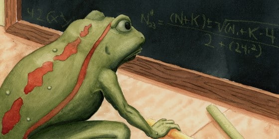Classroom Frog