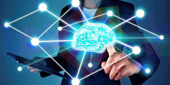 Mini Brain