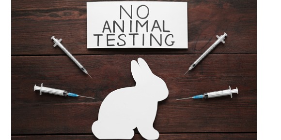 No Animal Testing No Animal Testing