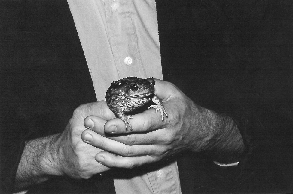 Image: Man Holding Frog