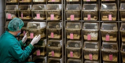 USDA AWA Article