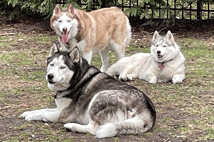 Kera And Family Crop NEW Kera And Family Crop NEW