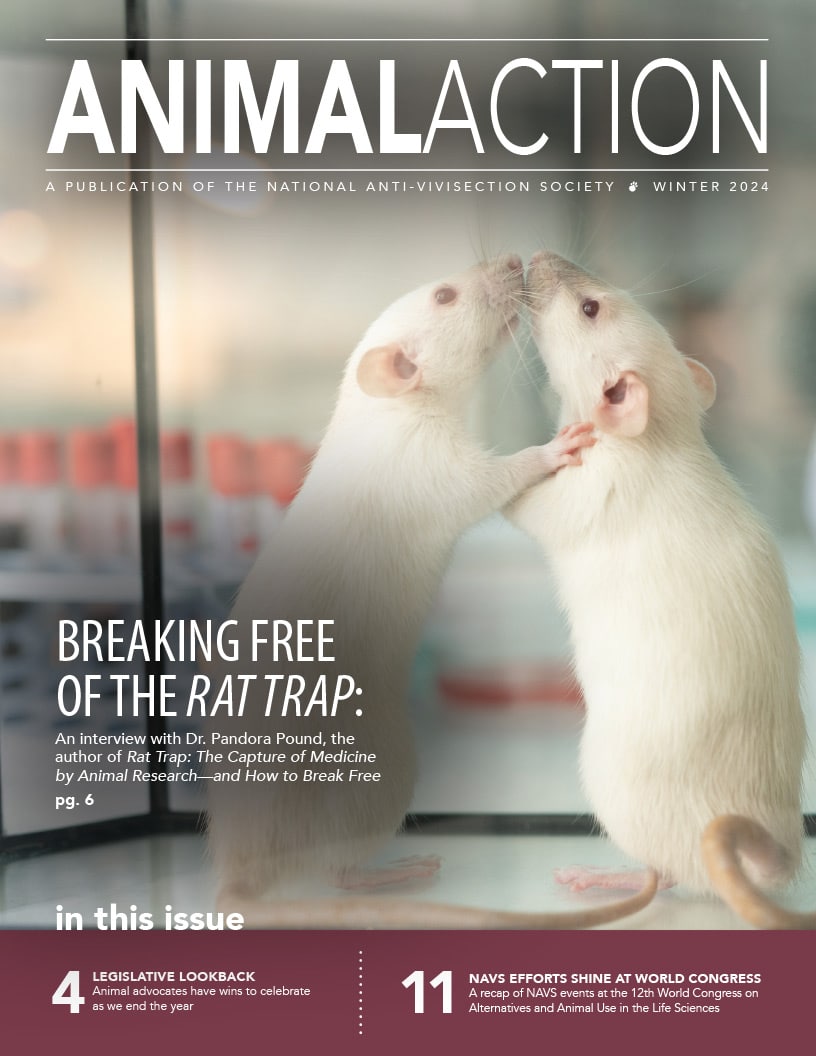 Animal Action Report - Winter 2024