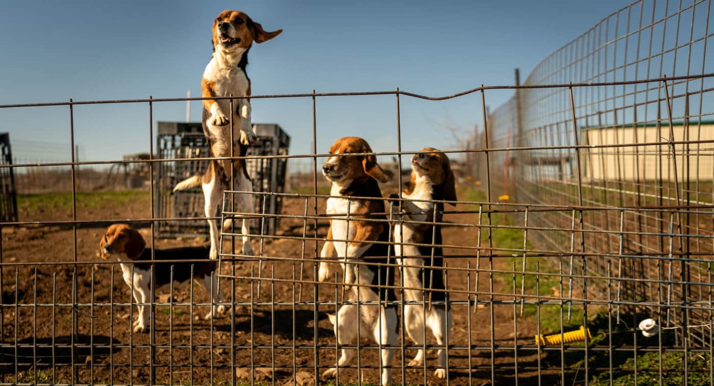 BFP OKrescue Feb24 CROP
