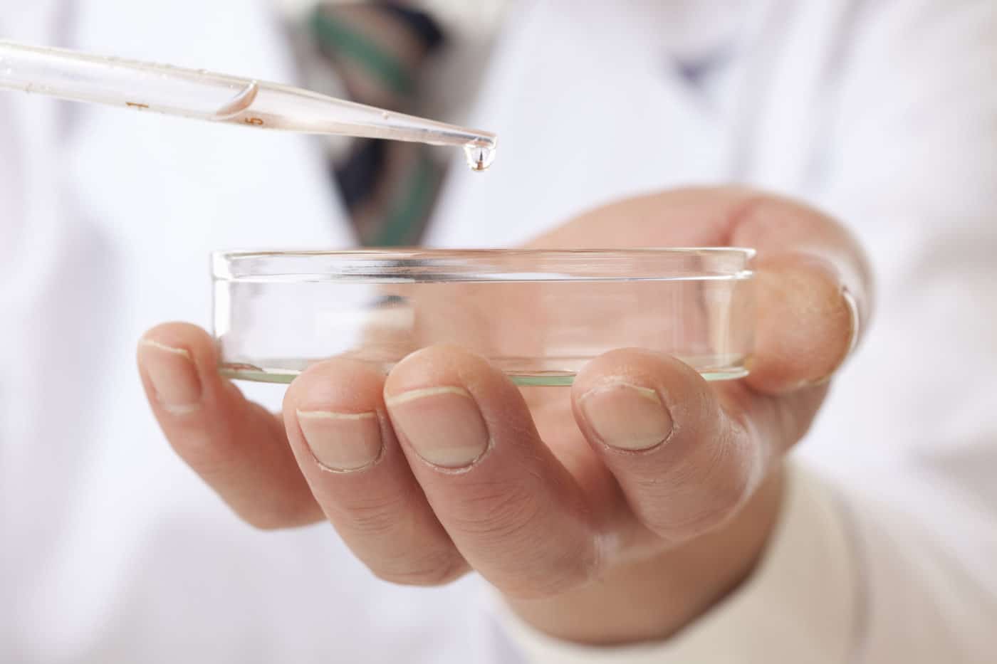 Research And Development Research and development
