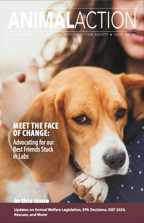 Animal Action, Issue 58