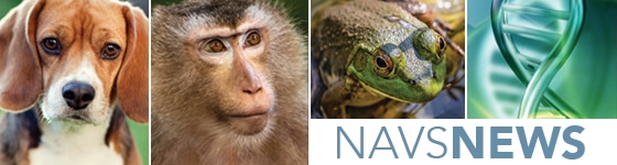 Enewsletter Header Small