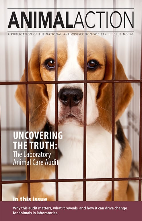 Animal Action, Issue 60